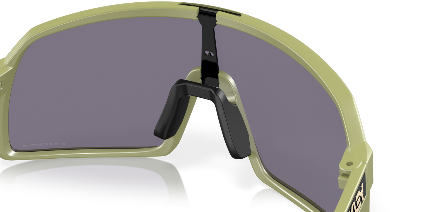 [Prizm Grey Lenses, Matte Fern Frame]