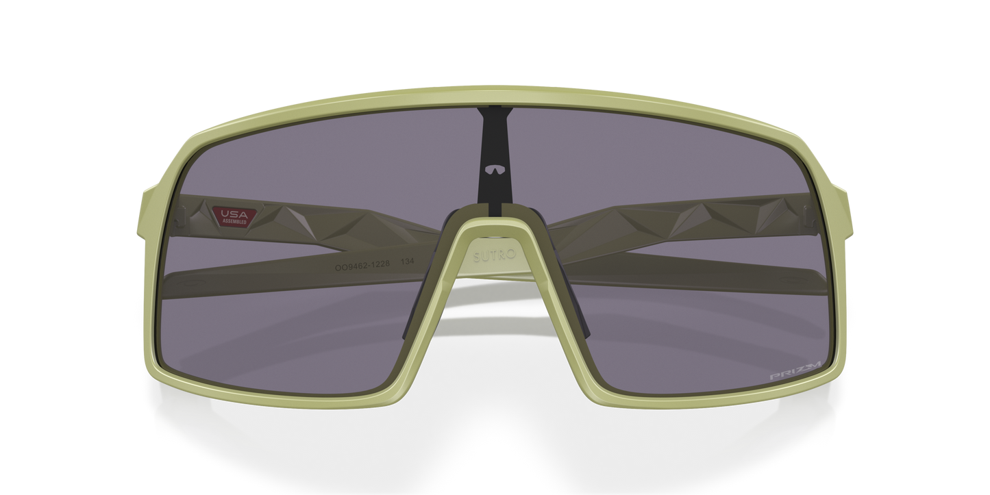 [Prizm Grey Lenses, Matte Fern Frame]
