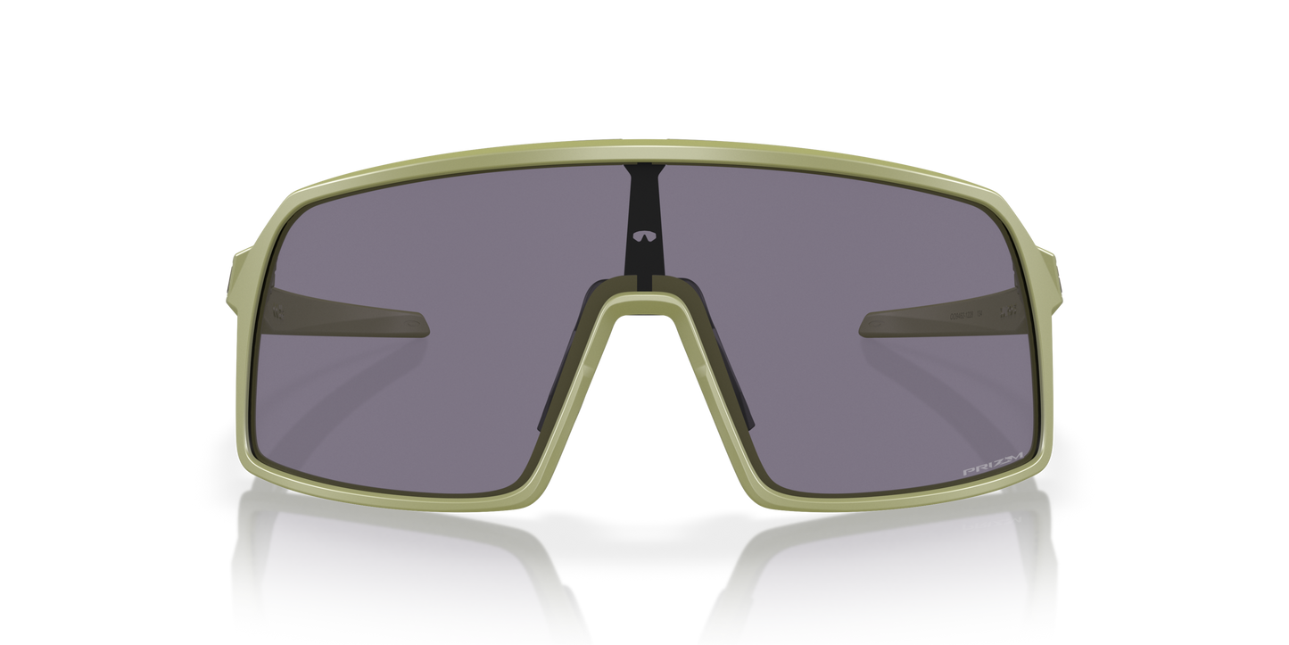 [Prizm Grey Lenses, Matte Fern Frame]