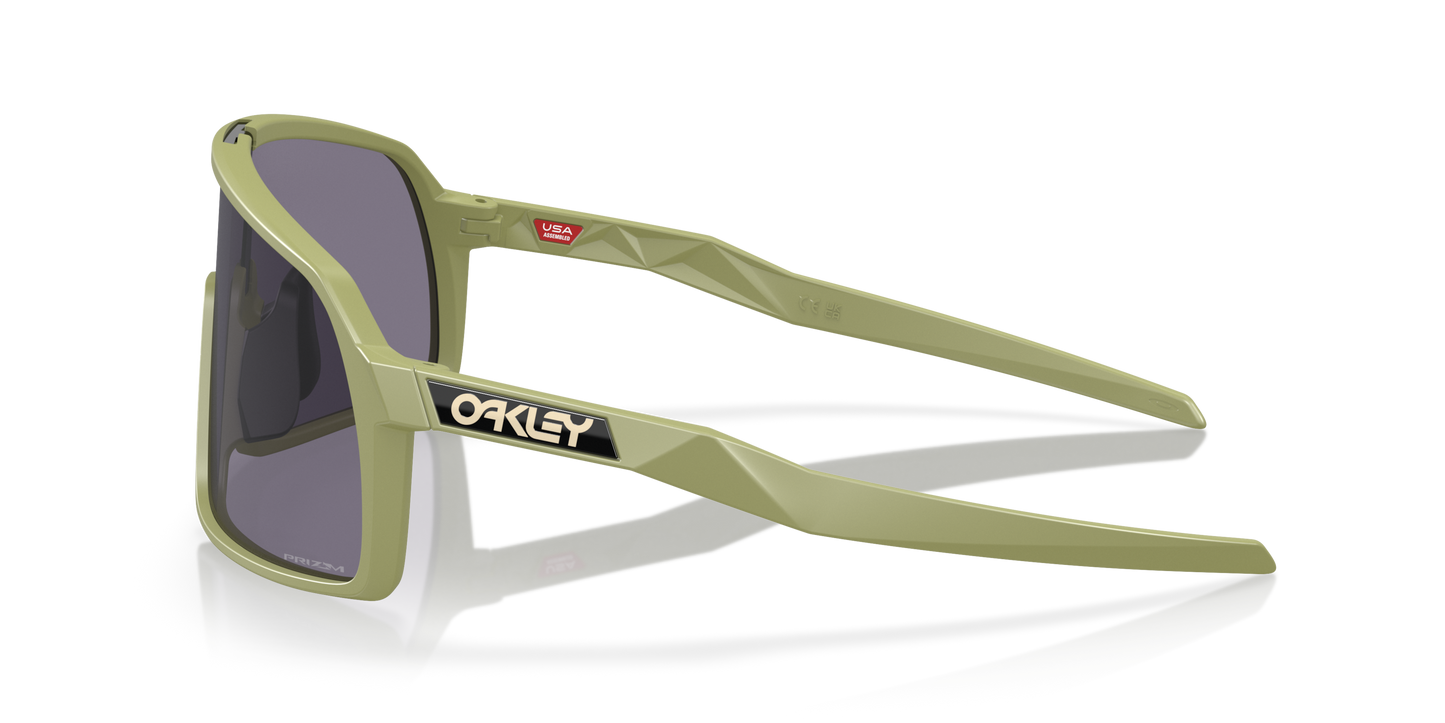 [Prizm Grey Lenses, Matte Fern Frame]