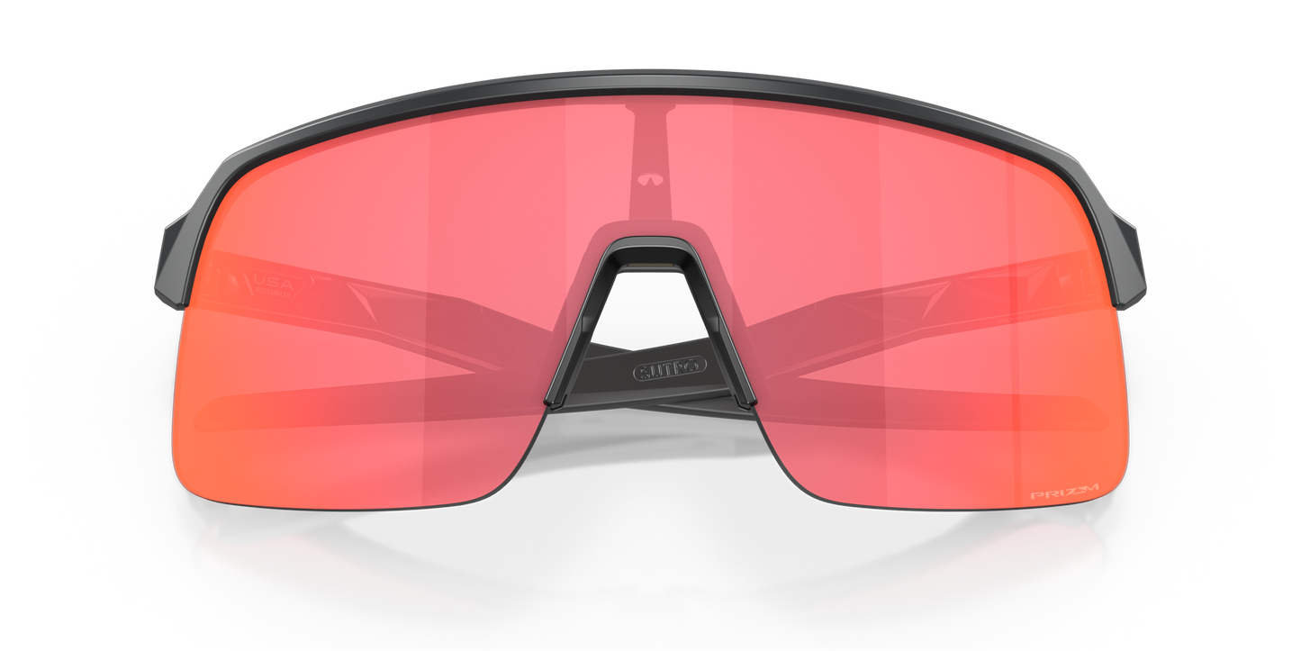 [Prizm Trail Torch Lenses, Matte Carbon Frame]