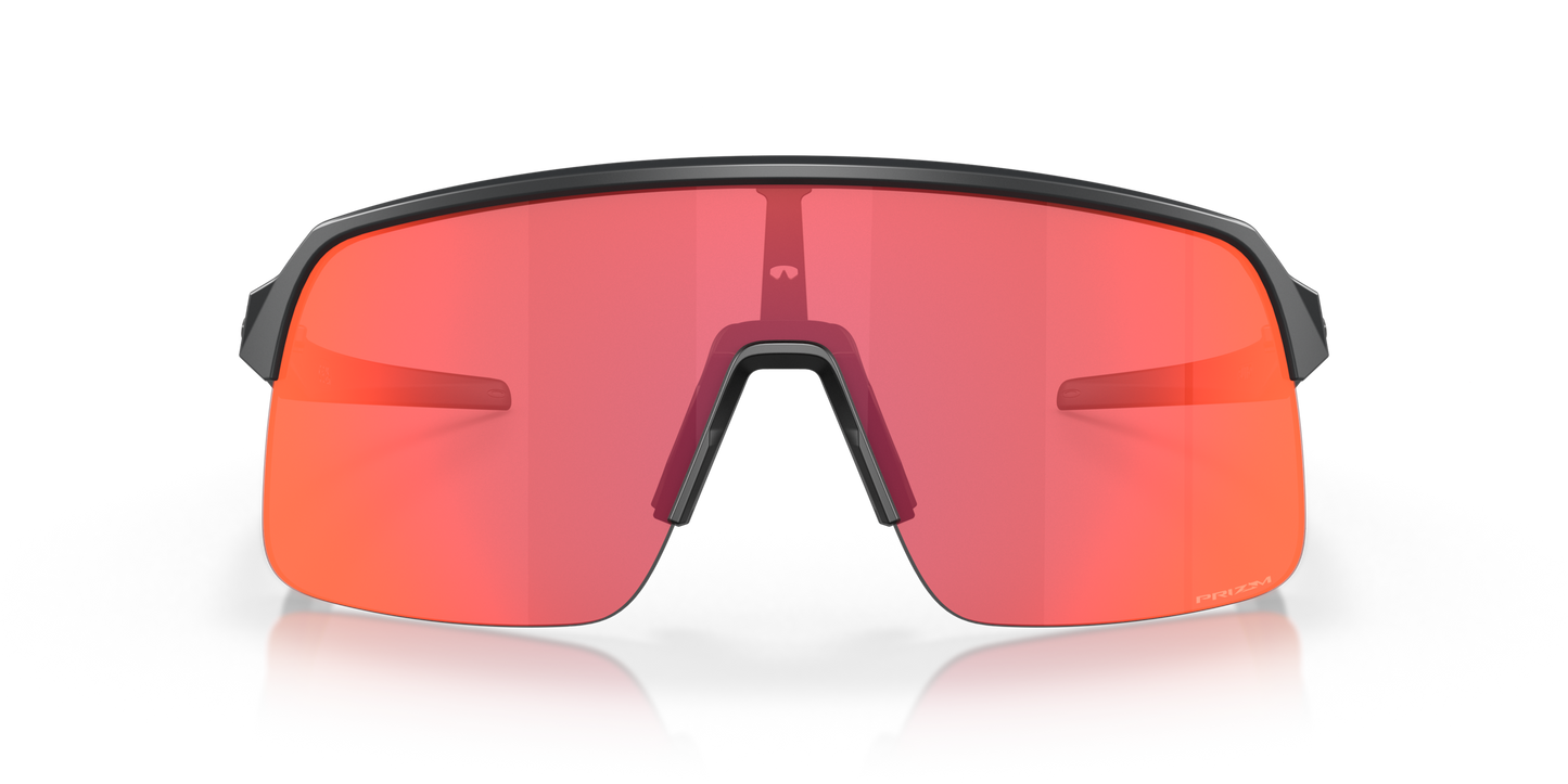 [Prizm Trail Torch Lenses, Matte Carbon Frame]