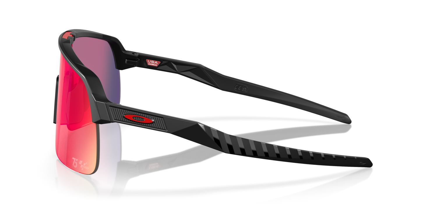 [Prizm Road Lenses, Matte Black Frame]