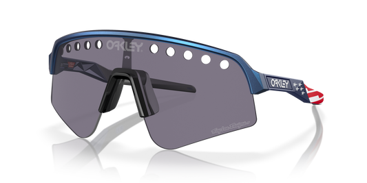 [Prizm Grey Lenses, Troy Lee Designs Blue Colorshift Frame]