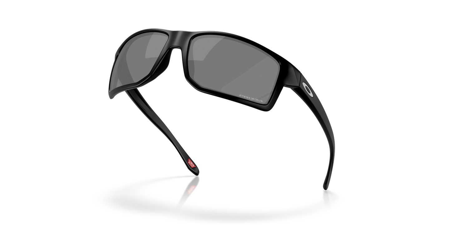 [Prizm Black Lenses, Matte Black Frame]