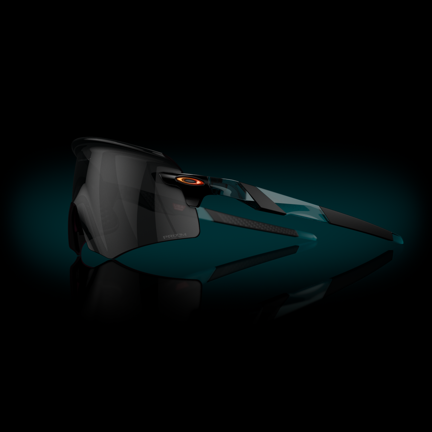 [Prizm Black Lenses, Polished Black Frame]