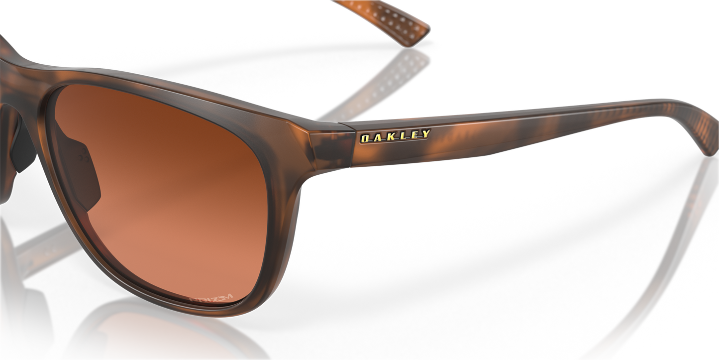 [Prizm Brown Gradient Lenses, Matte Brown Tortoise Frame]