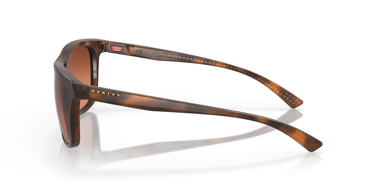 [Prizm Brown Gradient Lenses, Matte Brown Tortoise Frame]
