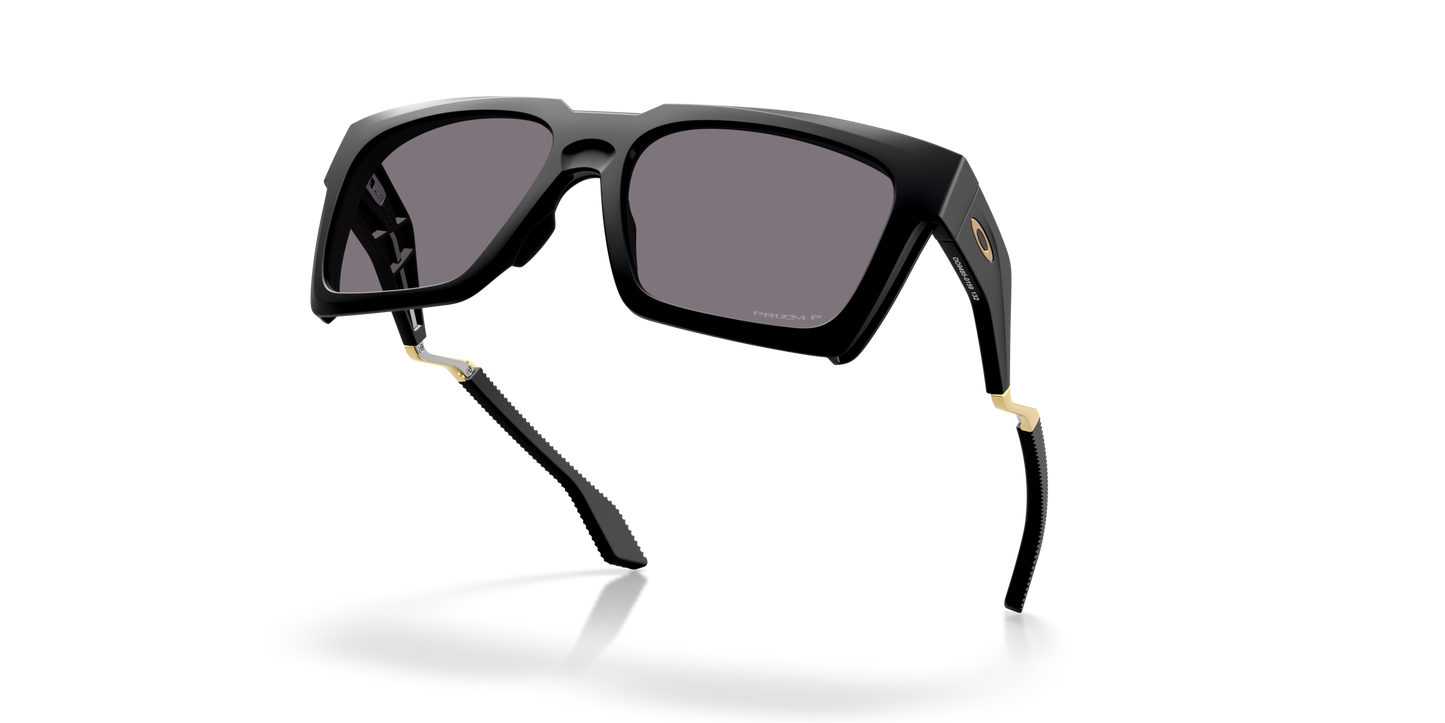 [Prizm Grey Polarized Lenses, Matte Black Frame]