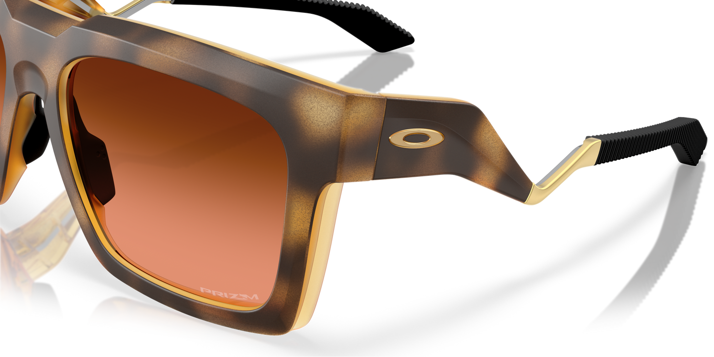 [Prizm Brown Gradient Lenses, Polished Brown Tortoise Frame]