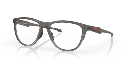 [Satin Grey Smoke Frame]