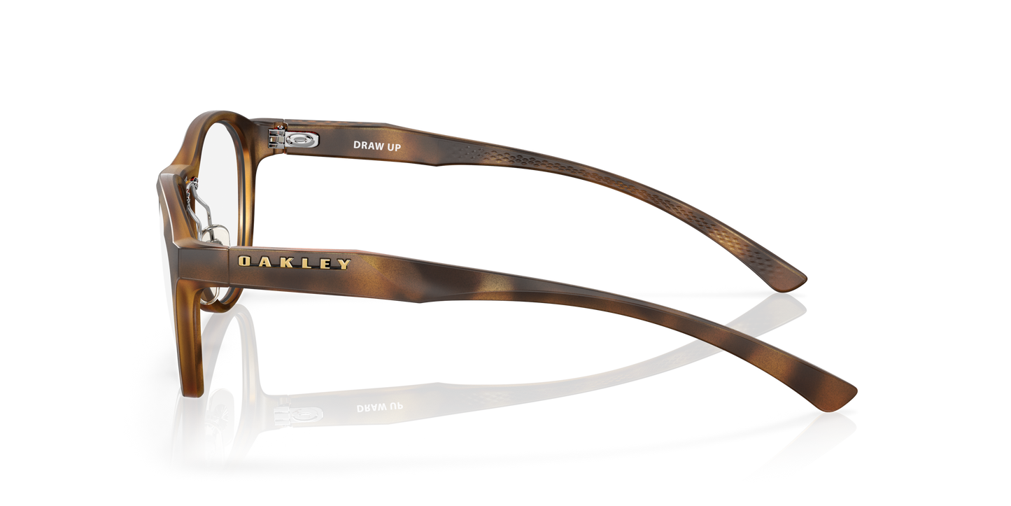 [Satin Brown Tortoise Frame]