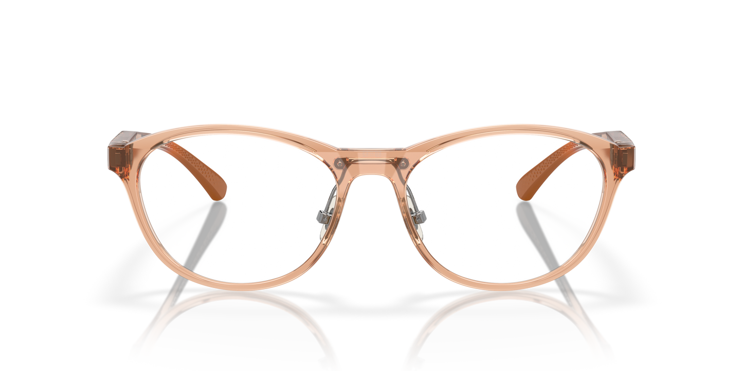 [Polished Transparent Sepiaframe]