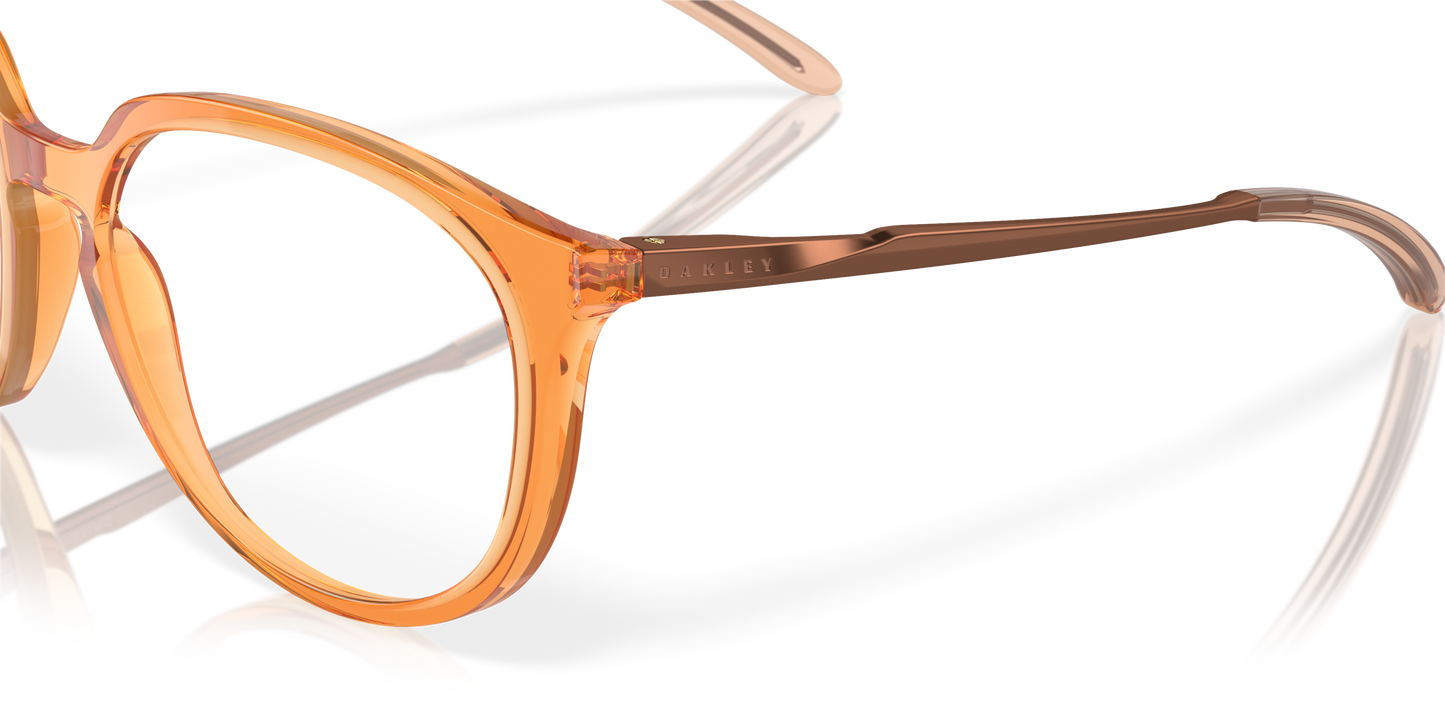 [Polished Transparent Gingerframe]