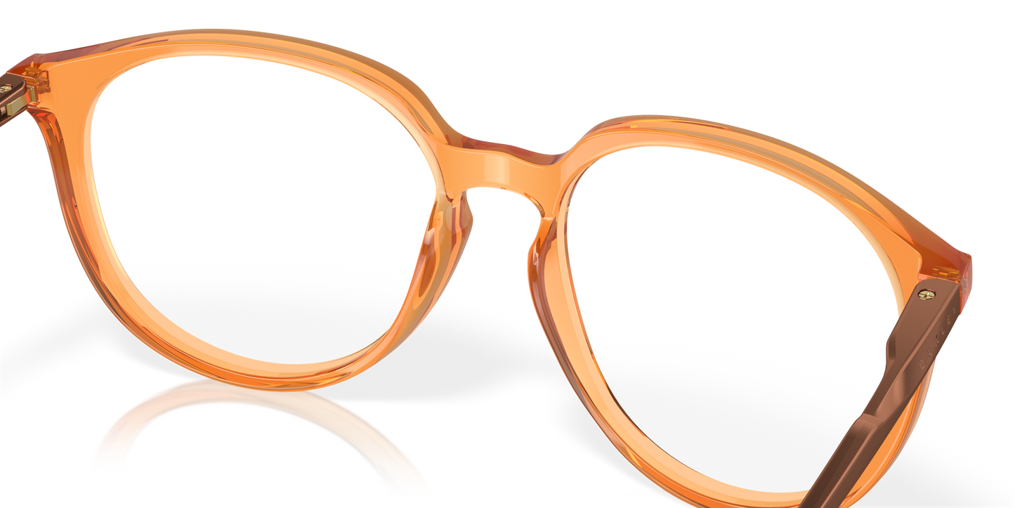 [Polished Transparent Ginger Frame]