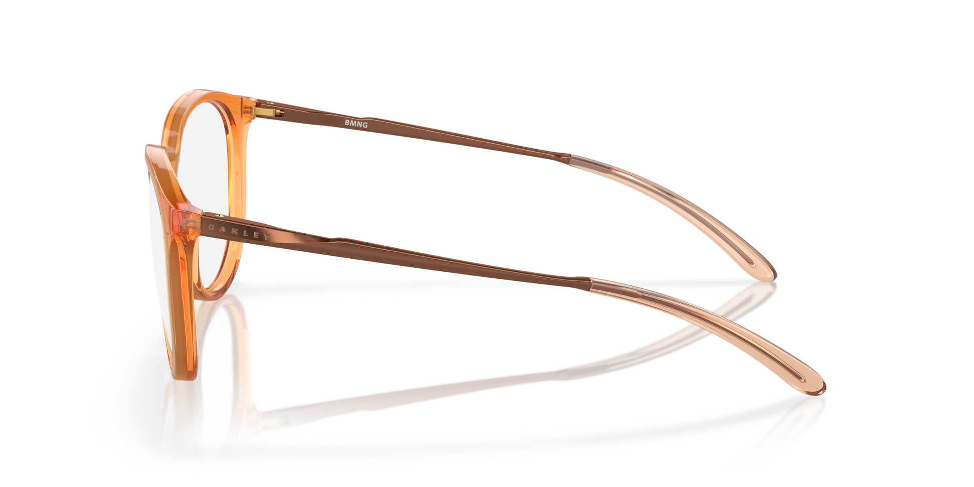 [Polished Transparent Ginger Frame]