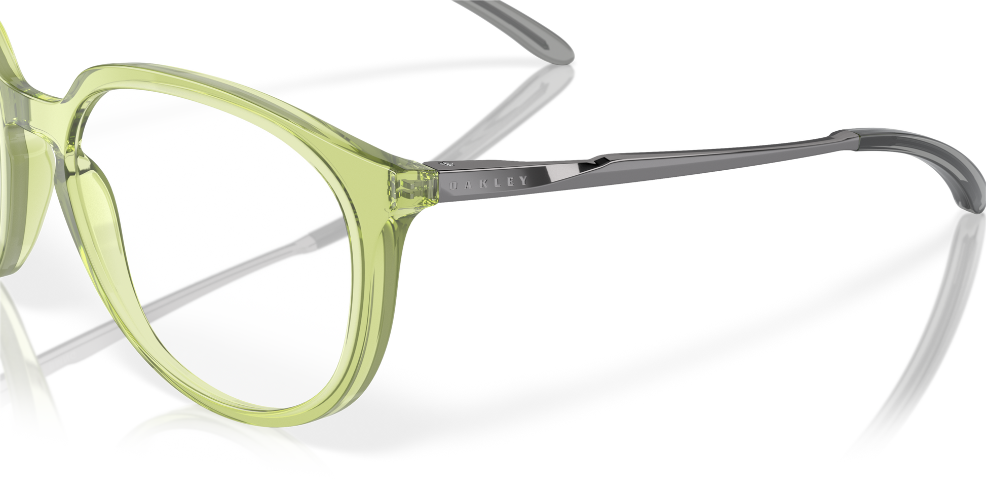 [Polished Transparent Fernframe]