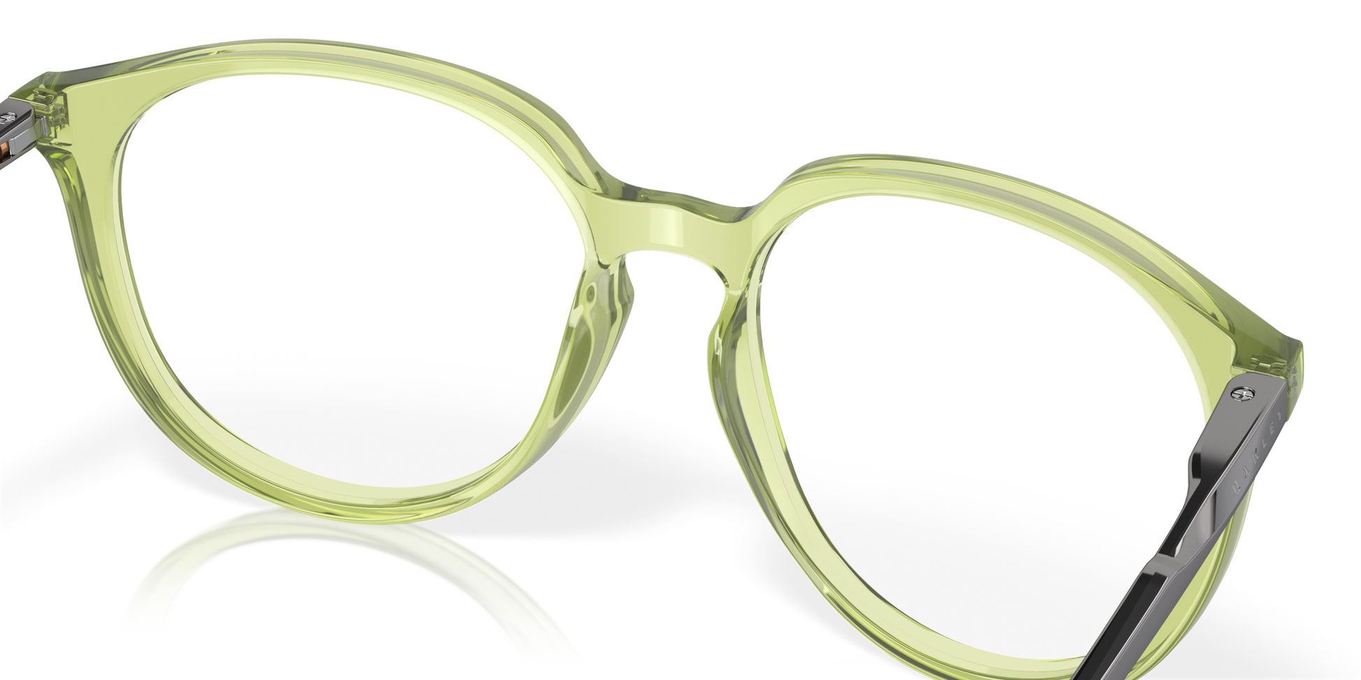 [Polished Transparent Fernframe]