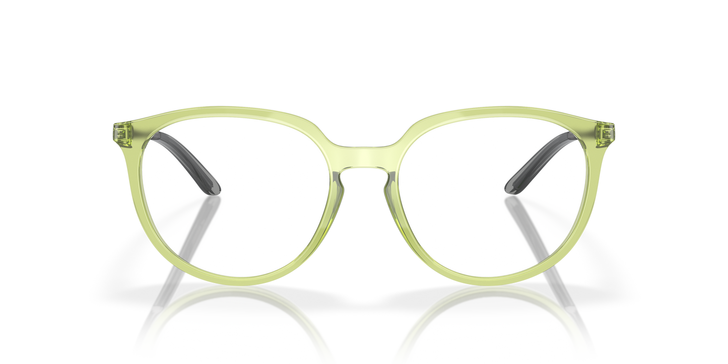 [Polished Transparent Fernframe]