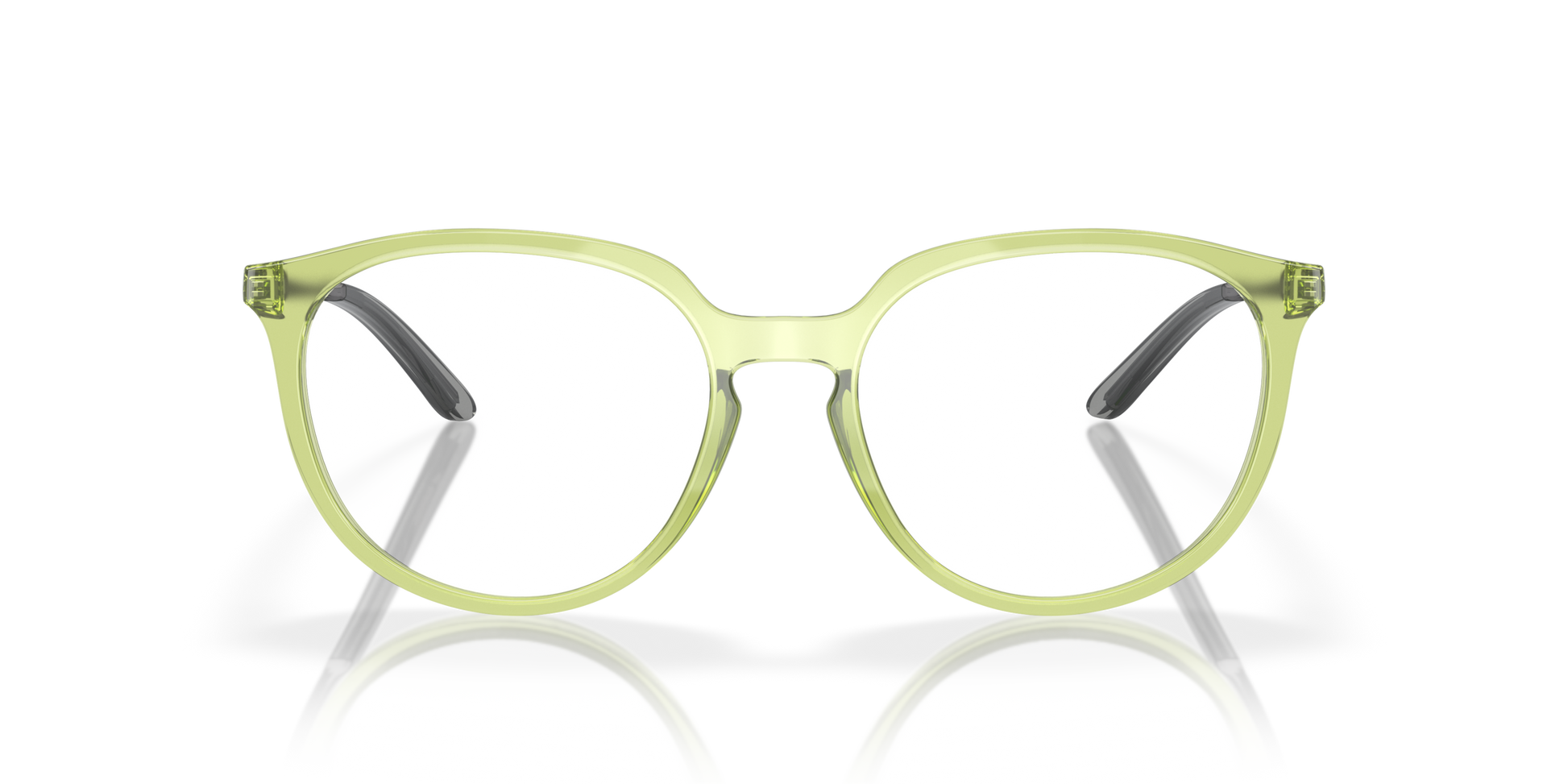 [Polished Transparent Fernframe]