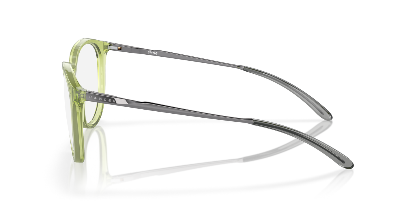 [Polished Transparent Fernframe]