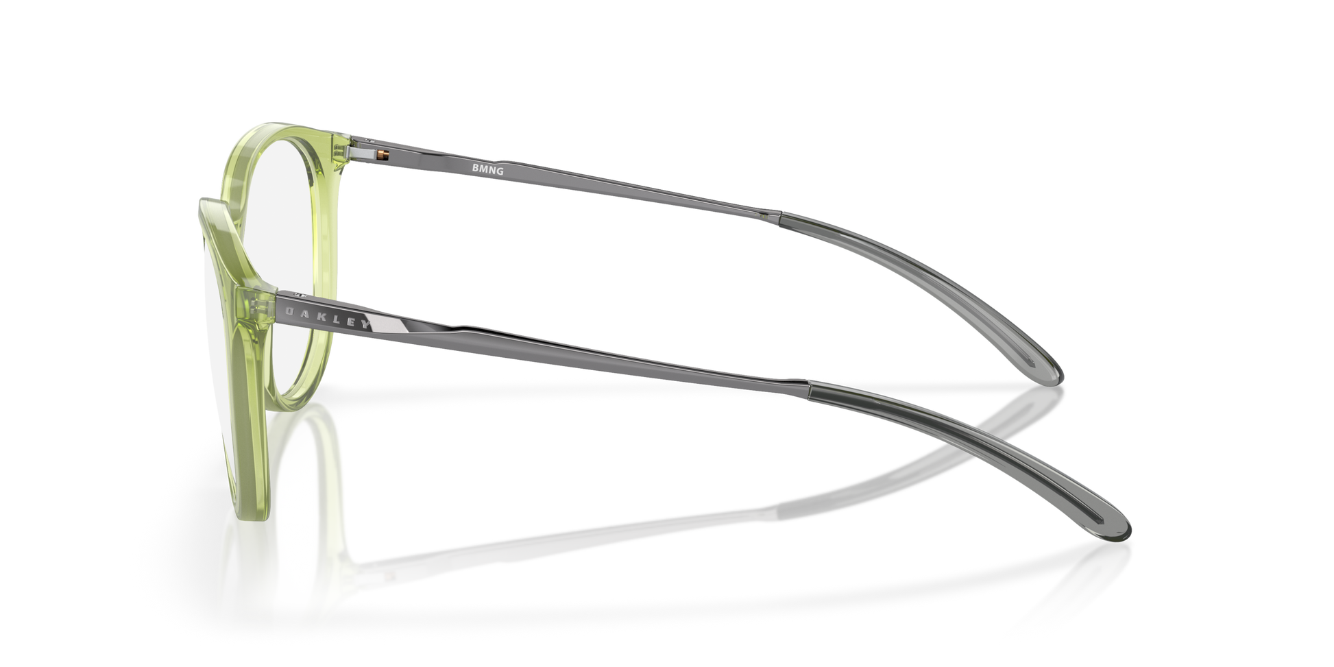 [Polished Transparent Fernframe]