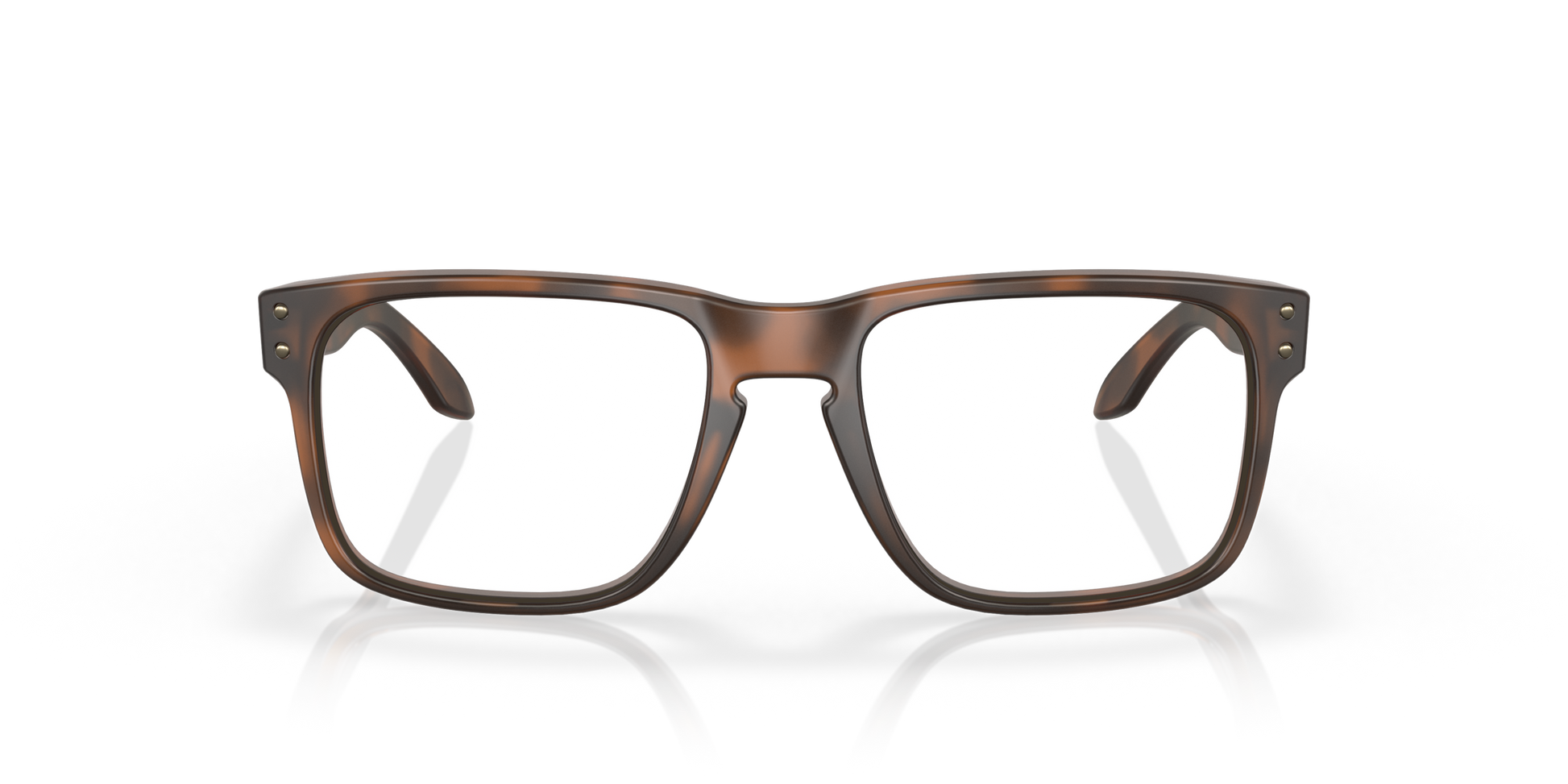 [Matte Brown Tortoise Frame]