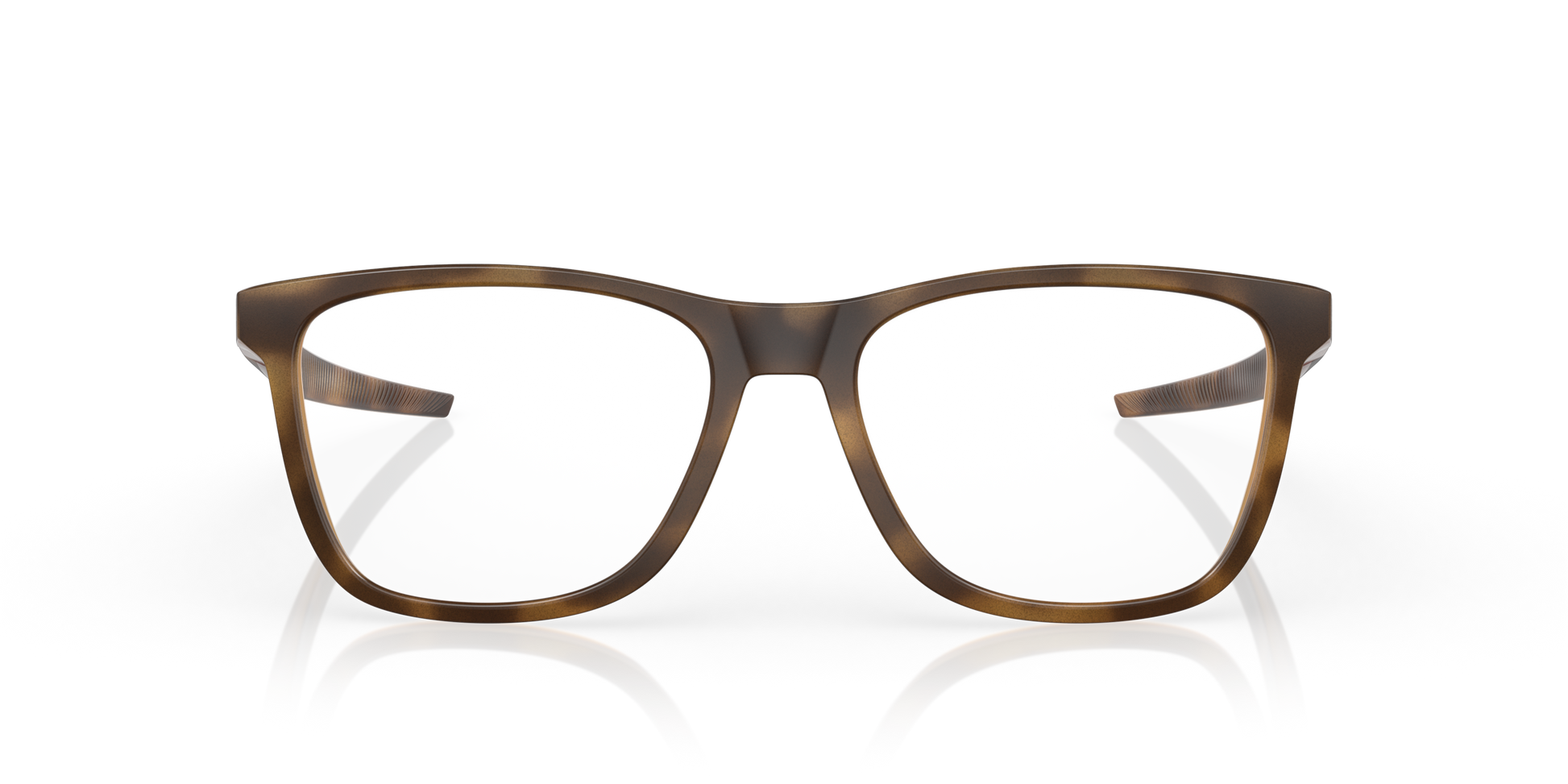 [Satin Brown Tortoise Frame]