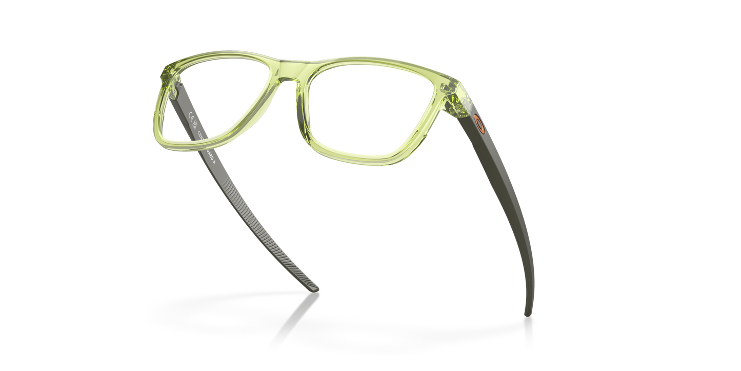 [Polished Transparent Fern Frame]