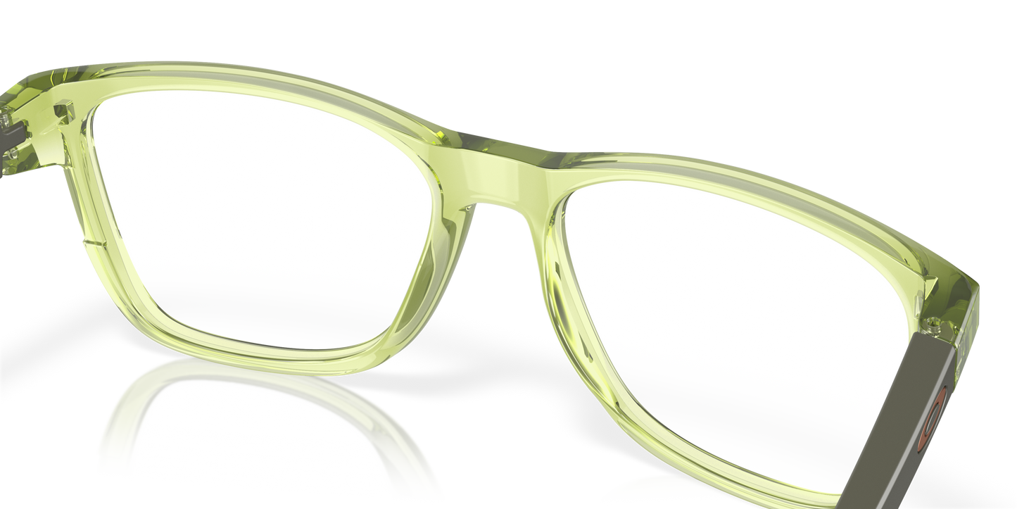 [Polished Transparent Fern Frame]