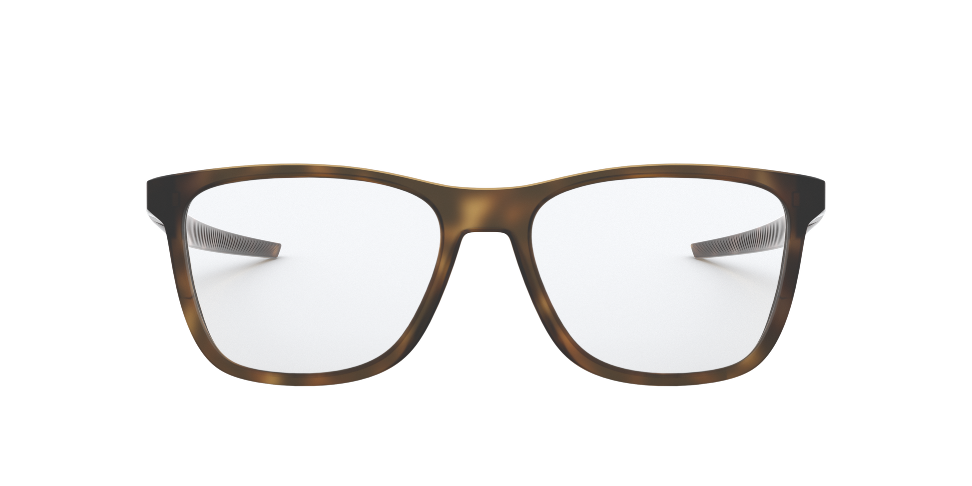 [Satin Brown Tortoise Frame]