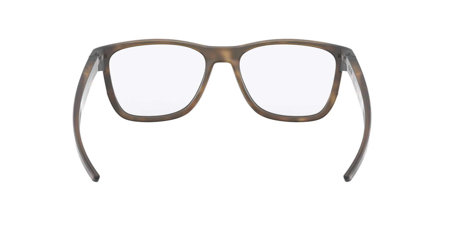[Satin Brown Tortoise Frame]