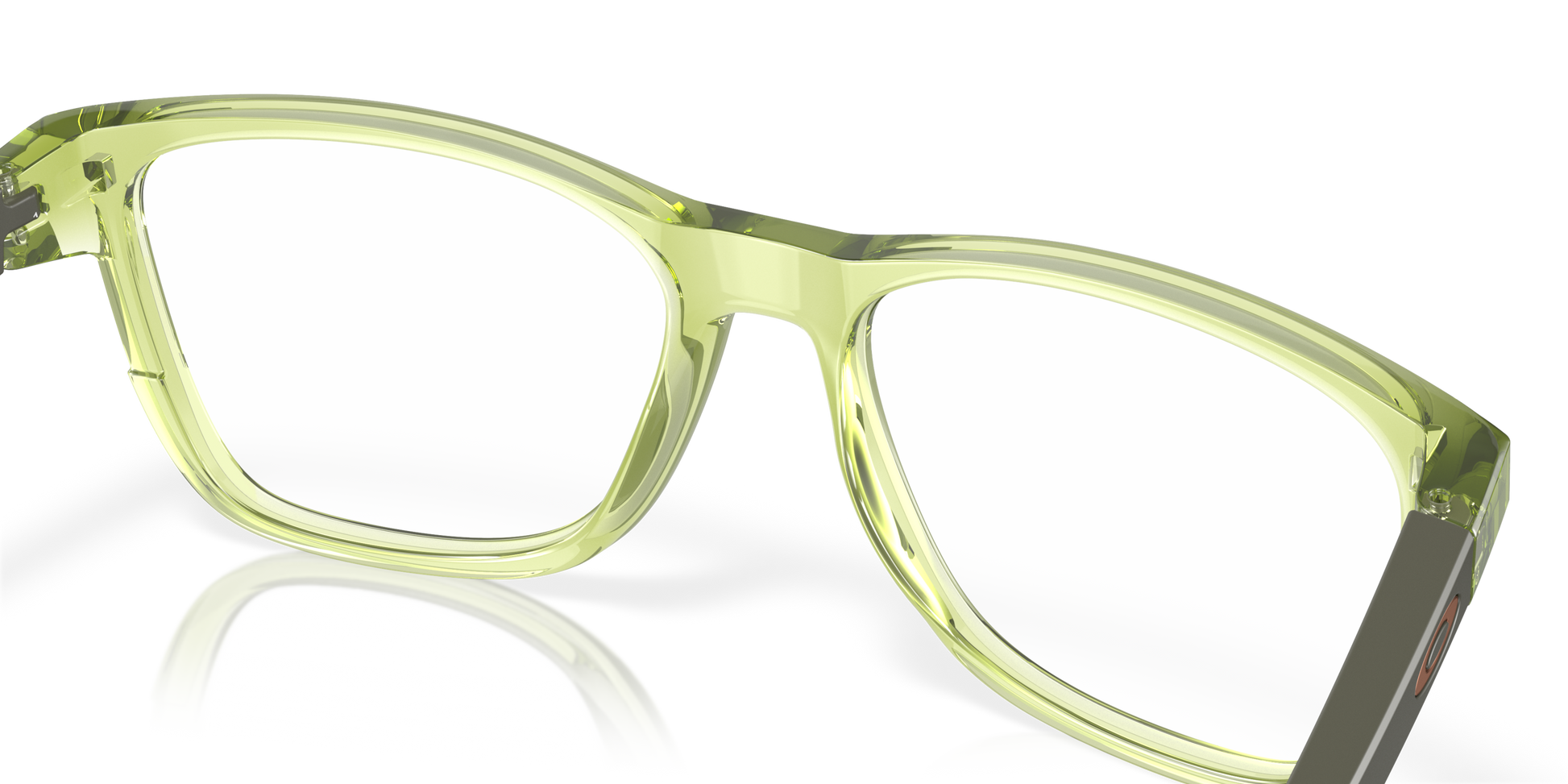 [Polished Transparent Fernframe]