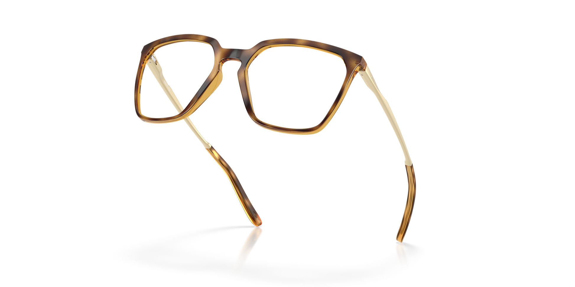 [Polished Brown Tortoise Frame]