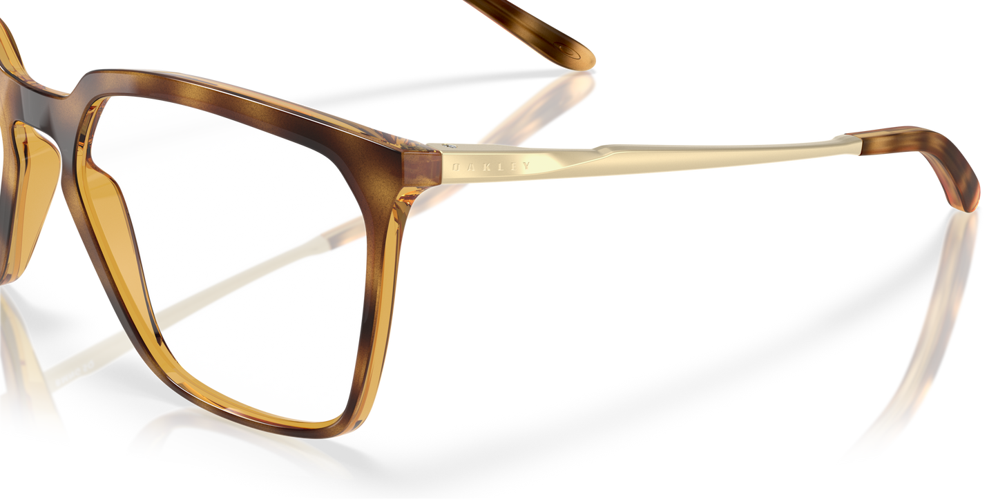 [Polished Brown Tortoise Frame]