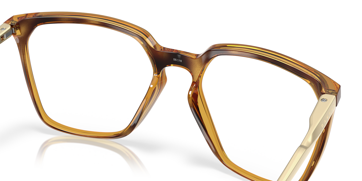 [Polished Brown Tortoise Frame]
