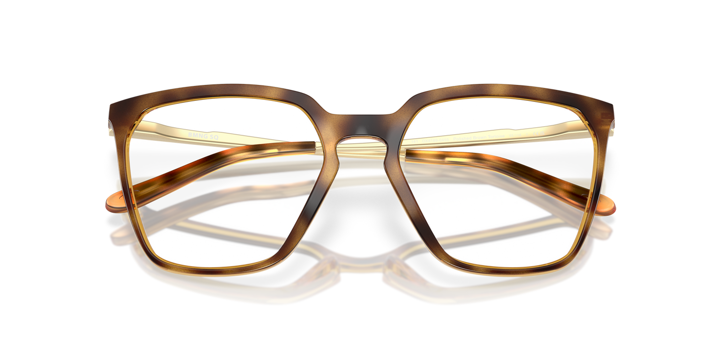 [Polished Brown Tortoise Frame]