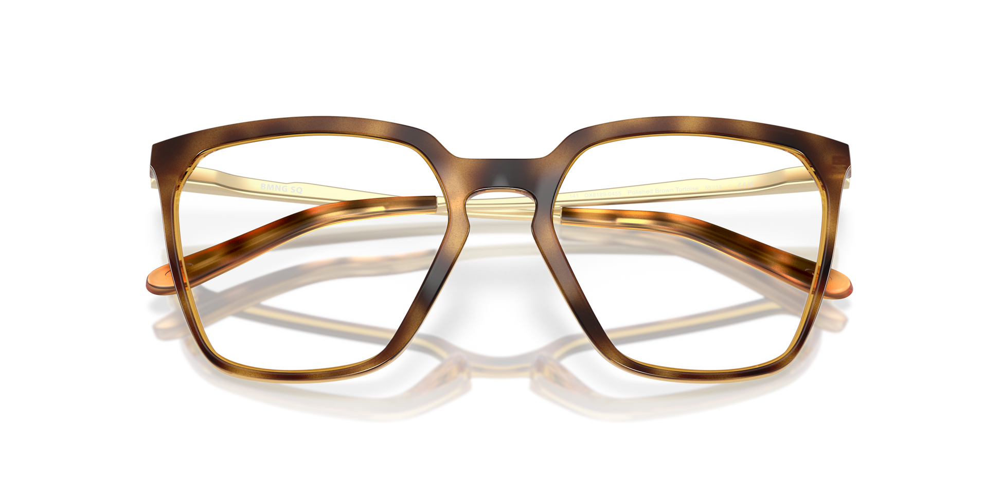 [Polished Brown Tortoise Frame]