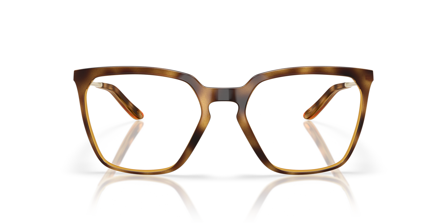 [Polished Brown Tortoise Frame]