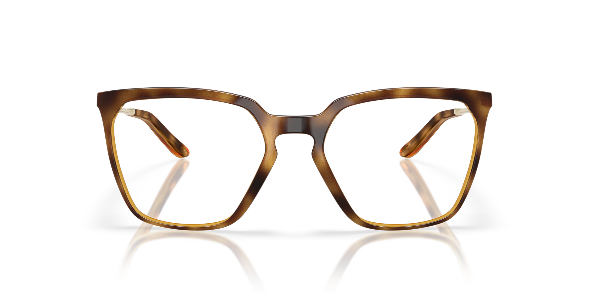 [Polished Brown Tortoise Frame]