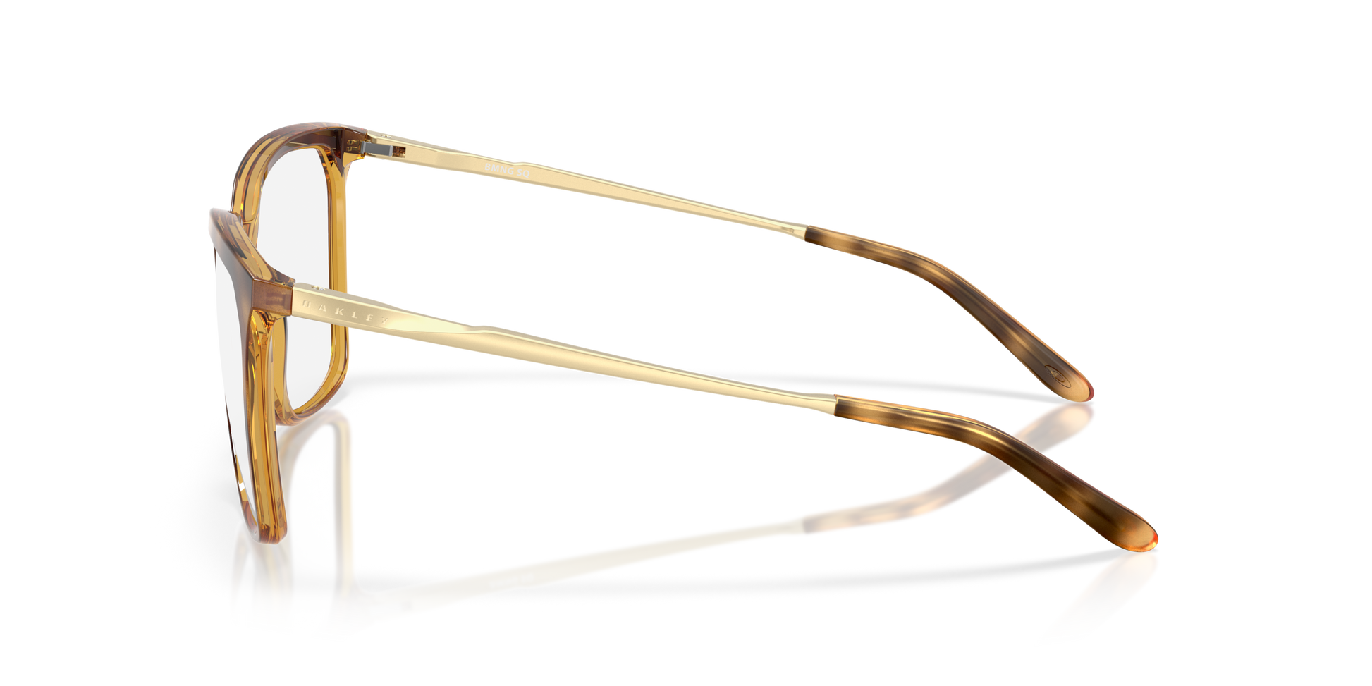 [Polished Brown Tortoise Frame]