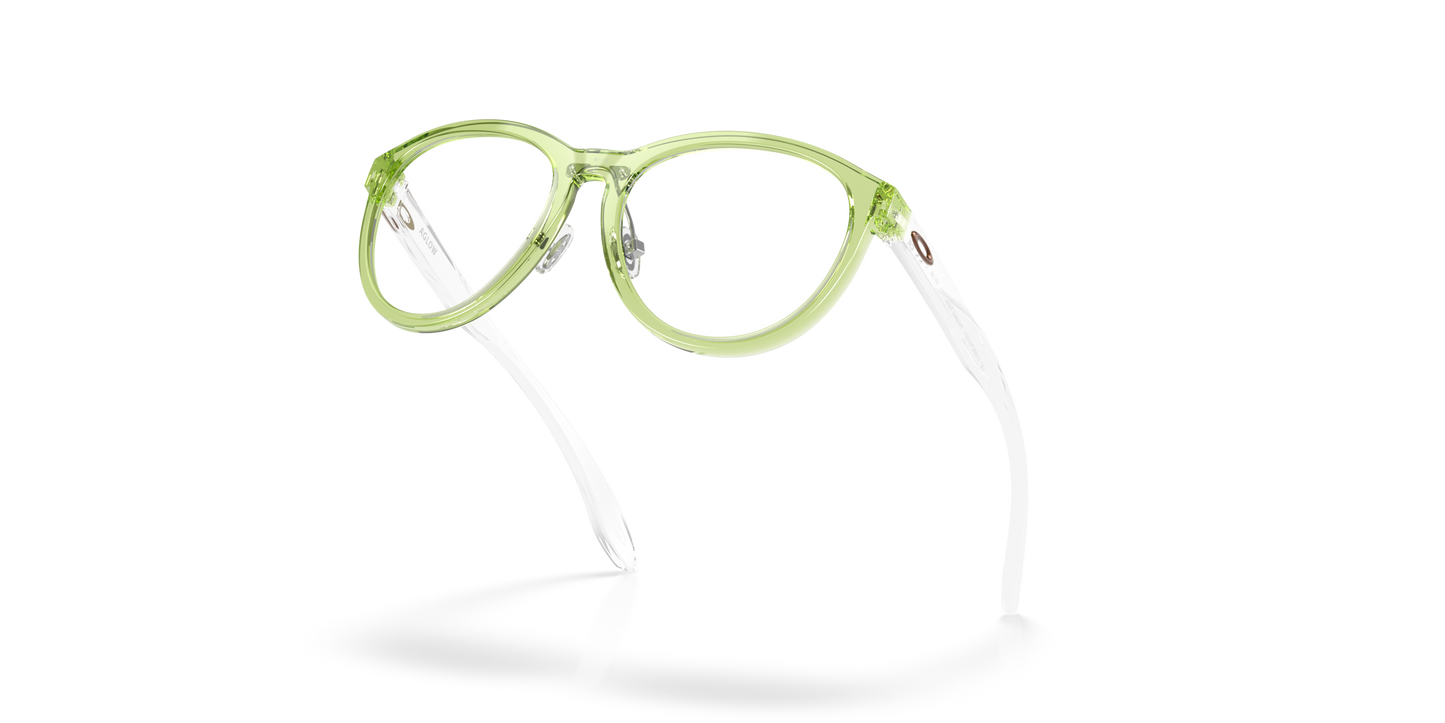 [Polished Transparent Fern Frame]