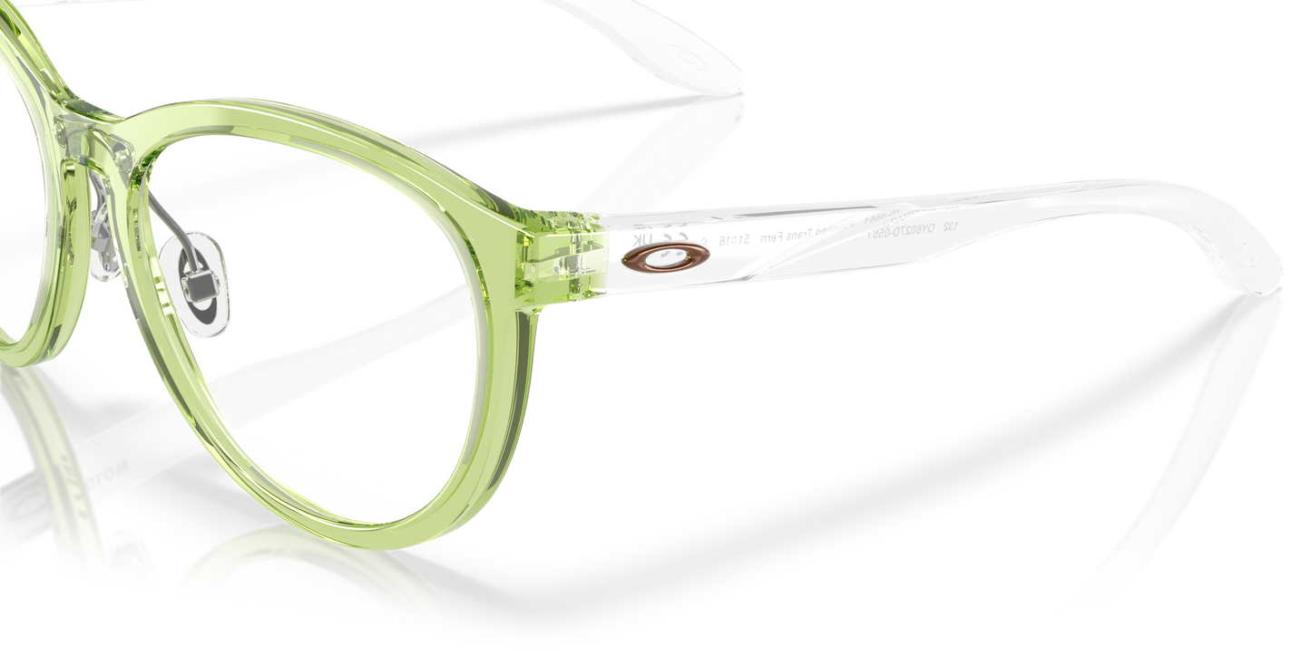 [Polished Transparent Fern Frame]