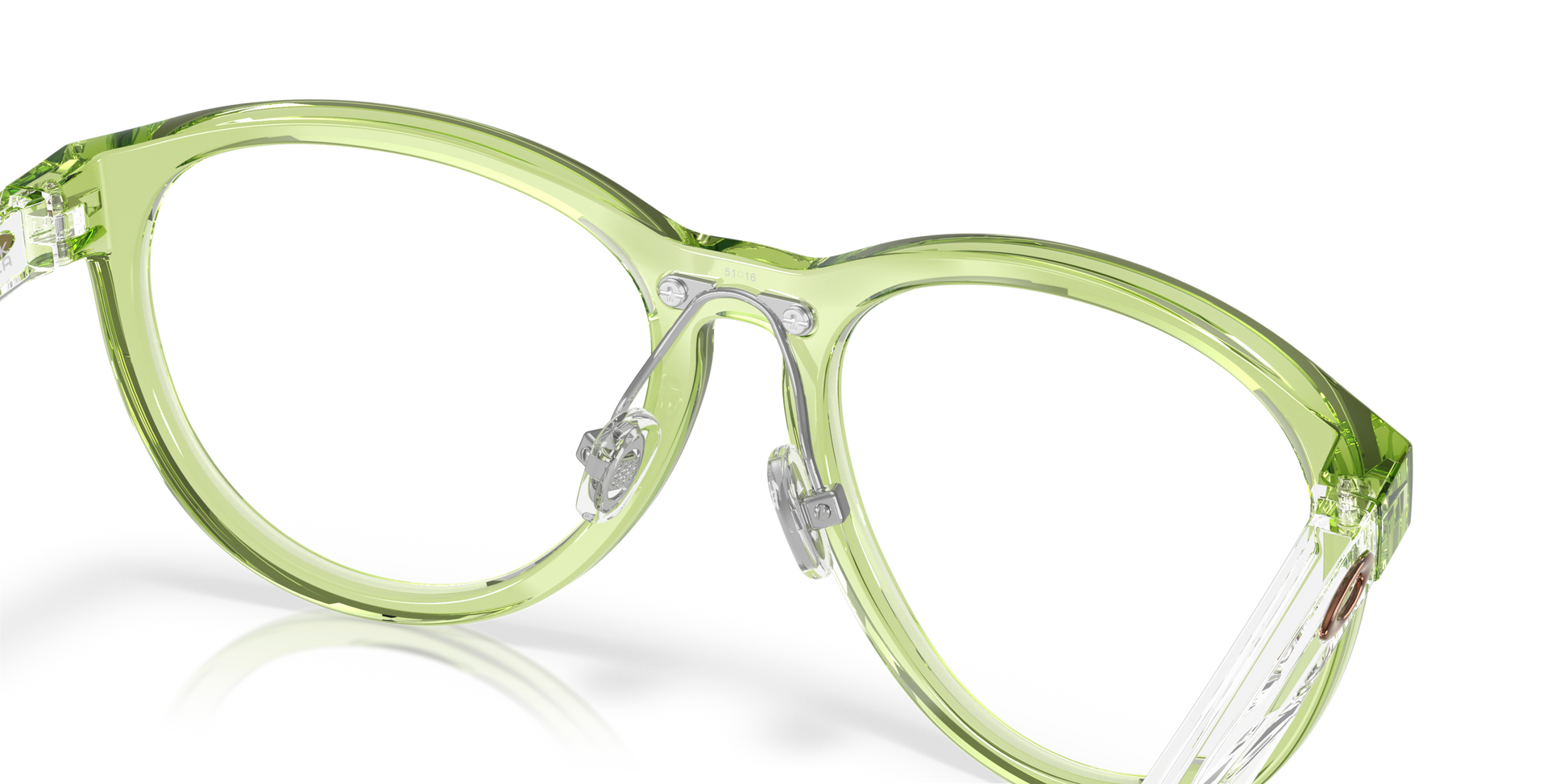 [Polished Transparent Fern Frame]