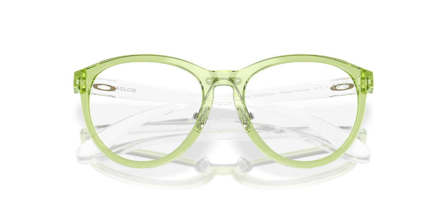 [Polished Transparent Fern Frame]