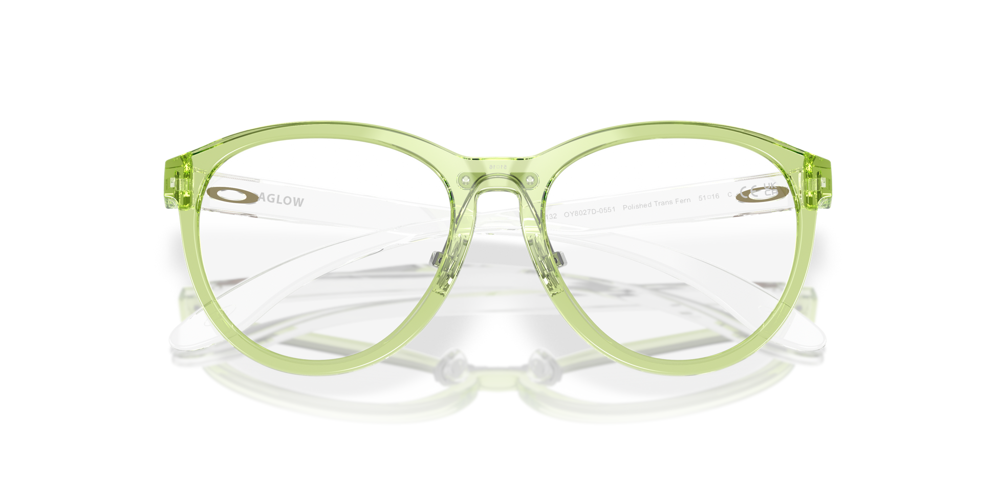 [Polished Transparent Fern Frame]