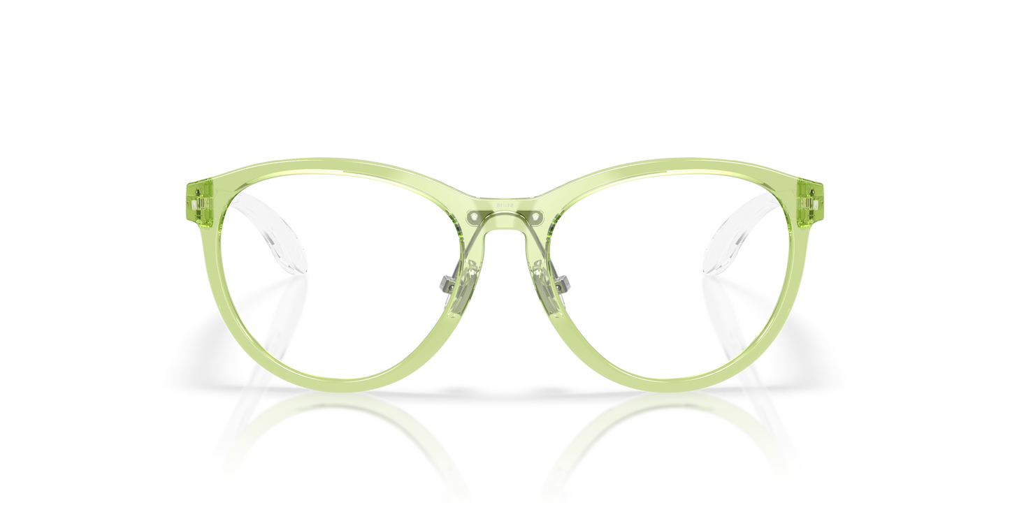 [Polished Transparent Fern Frame]
