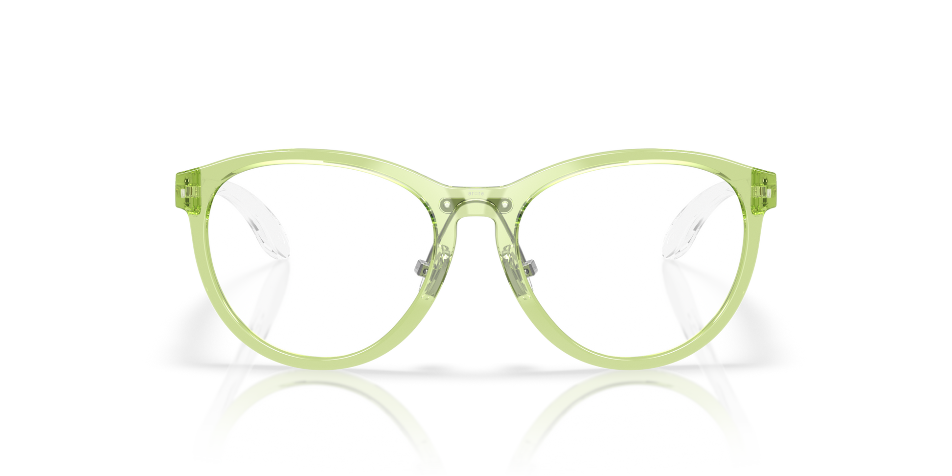 [Polished Transparent Fern Frame]