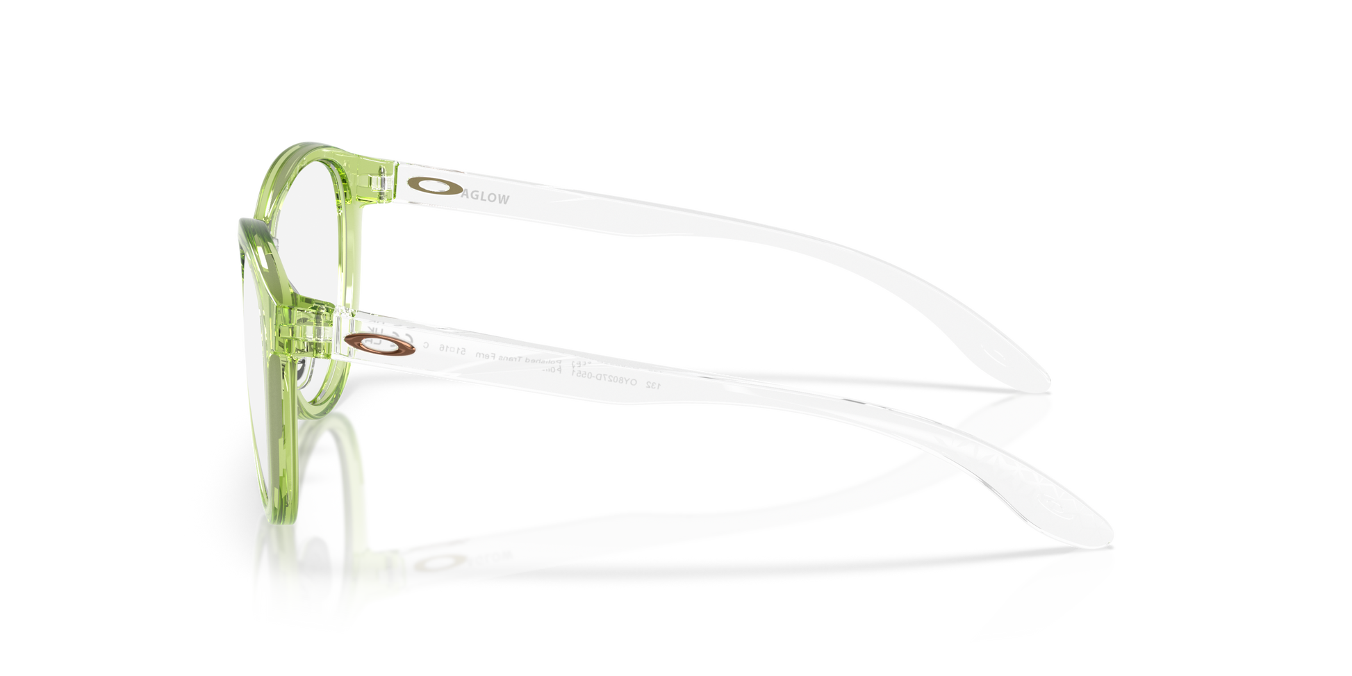 [Polished Transparent Fern Frame]