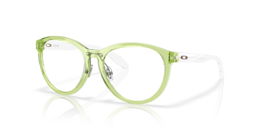 [Polished Transparent Fern Frame]